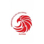 GK LIČKI SOKOL-PLITVICE logo
