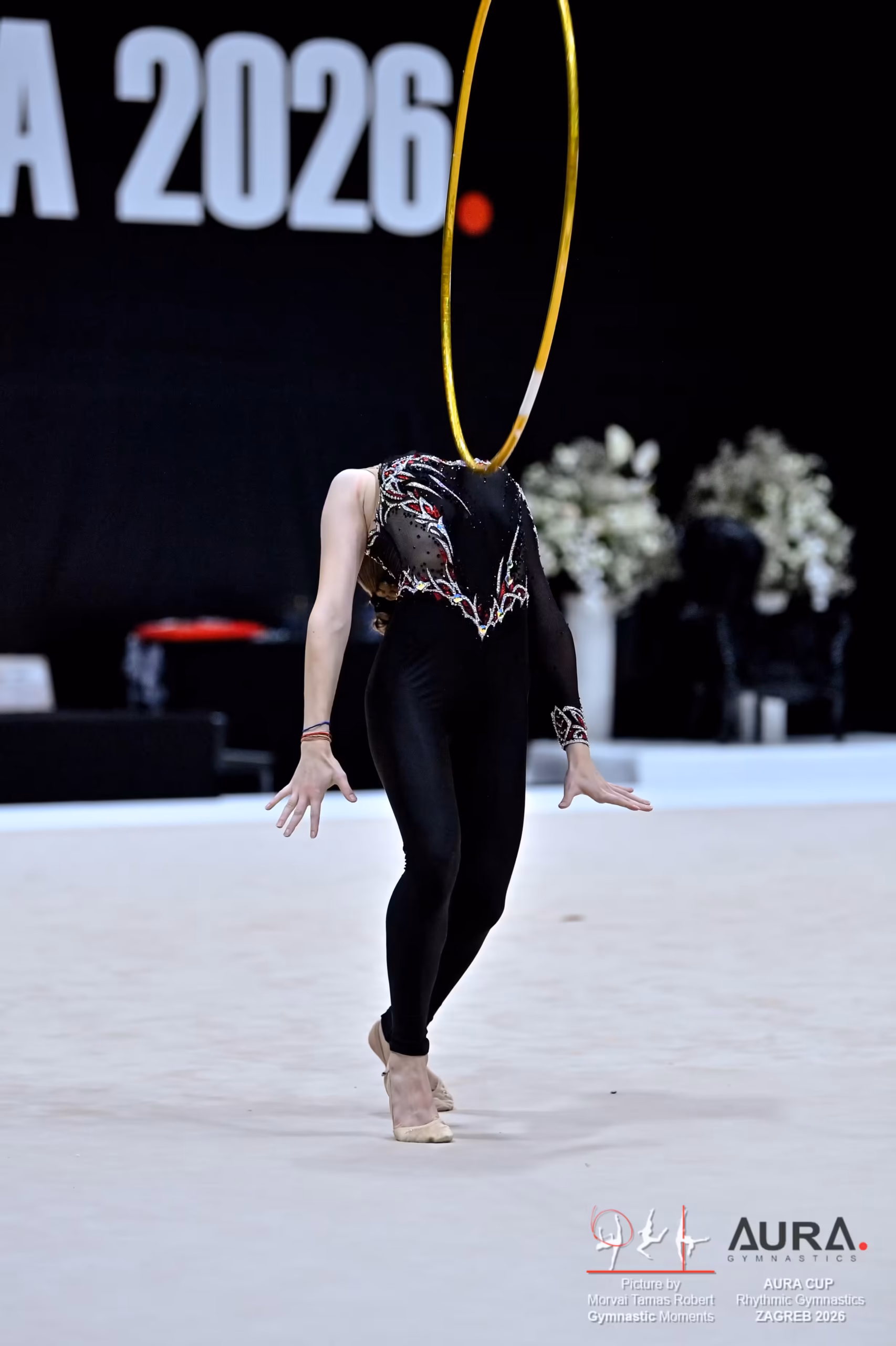 Anna Pikaliuk Gk Aura 6